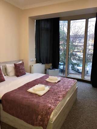 Отель Hotel Leo Palace Tbilisi Тбилиси Двухместный номер Делюкс с 1 кроватью-10
