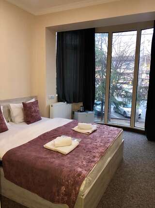 Отель Hotel Leo Palace Tbilisi Тбилиси Двухместный номер Делюкс с 1 кроватью-2